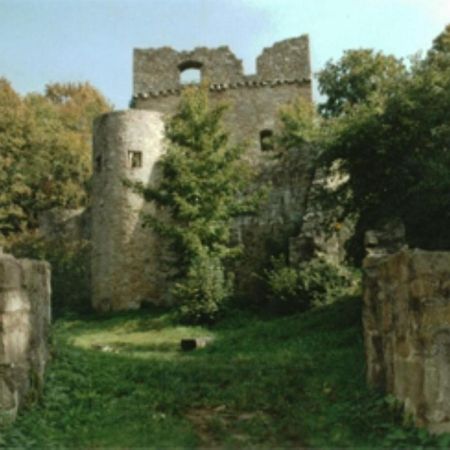 Blockhaus Stamsried Villa Exterior photo